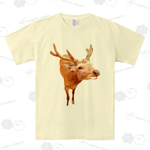 つぶらな瞳のキュートなシカ