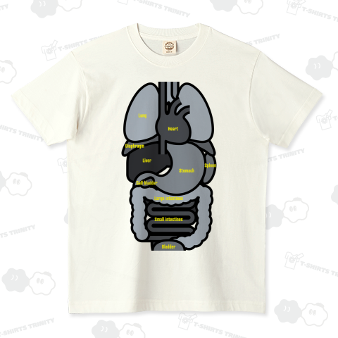 シンプルな人間の内臓のイラスト