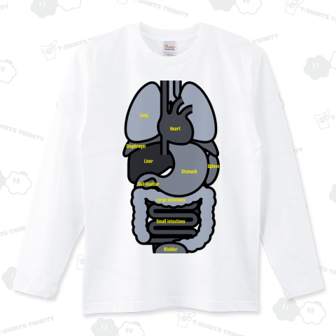 シンプルな人間の内臓のイラスト