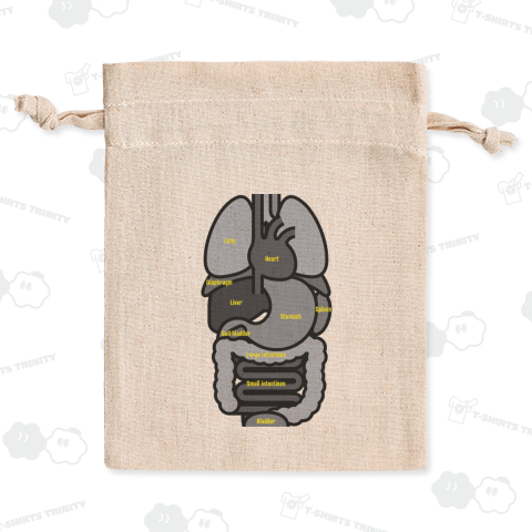 シンプルな人間の内臓のイラスト