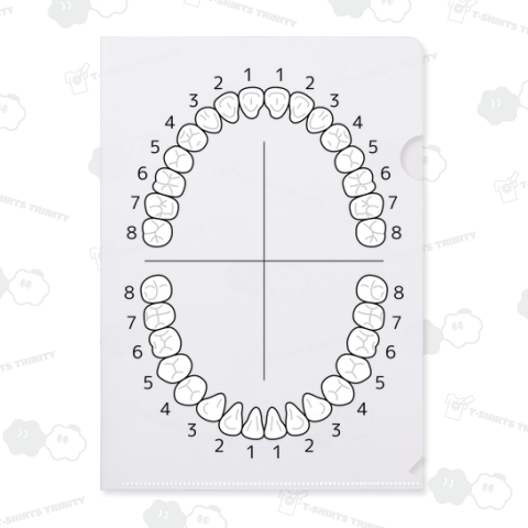 歯科医院のカルテなどの歯列の図 歯式