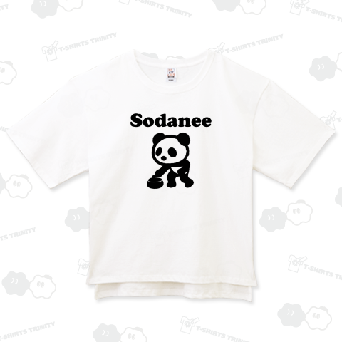 そだねー Sodanee カーリング