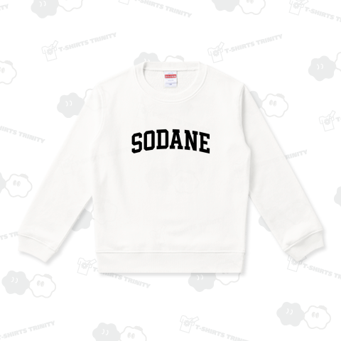 SODANE(そだねー/北海道)方言