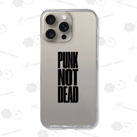 PUNK NOT DEAD