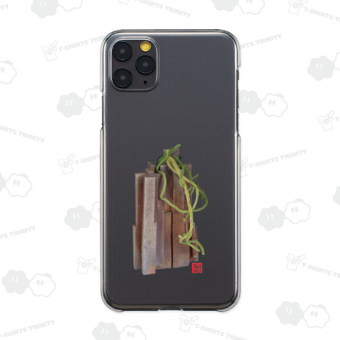 禅プランツ/クラッスラ・ムスコーサ