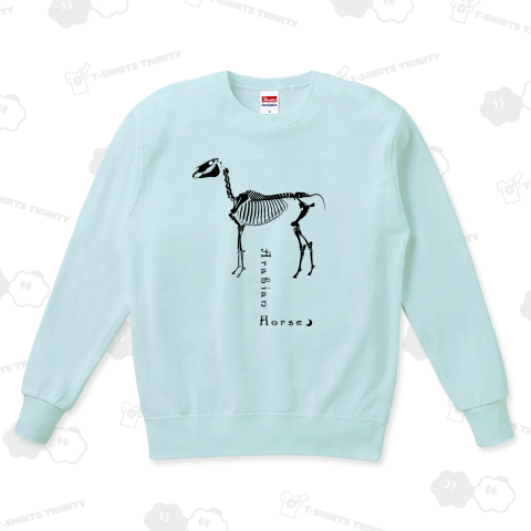 Arabian Horse Skeleton