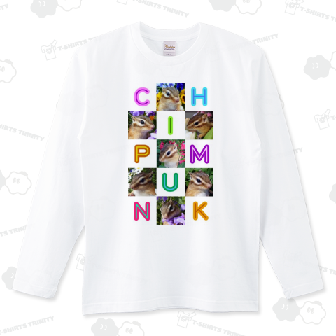 シマリス・写真 1