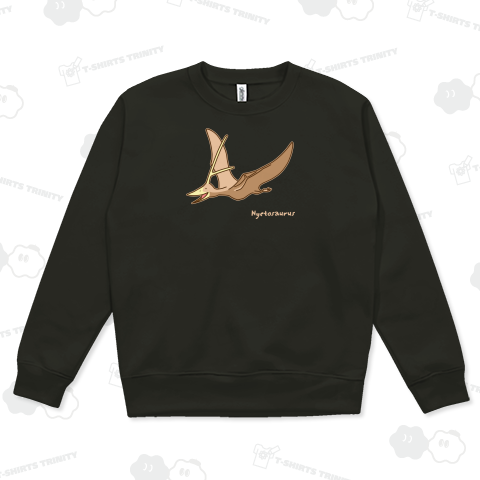 ニクトサウルス (濃色地用)