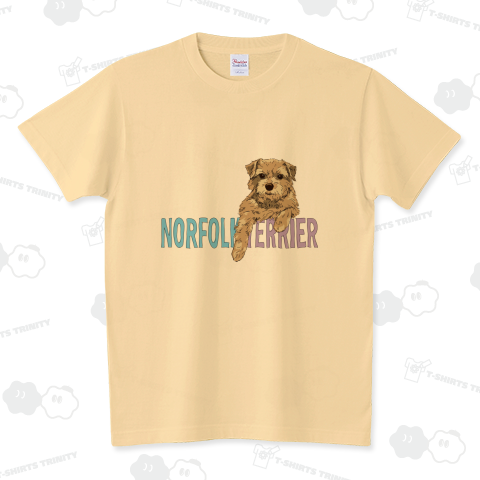 Norfolk terrier