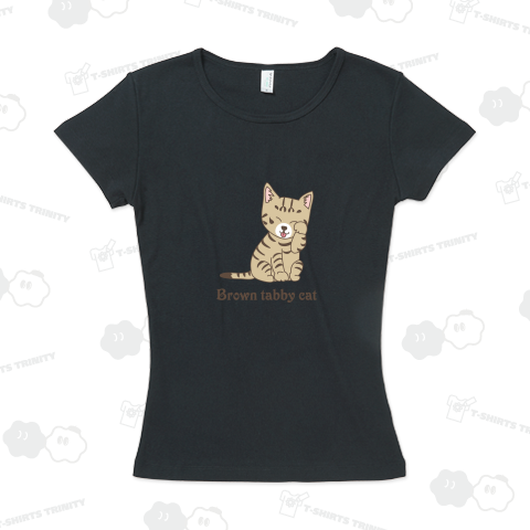 Brown tabby cat 2