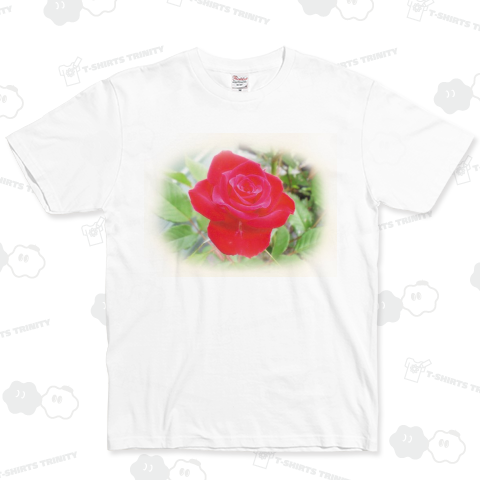 赤い薔薇
