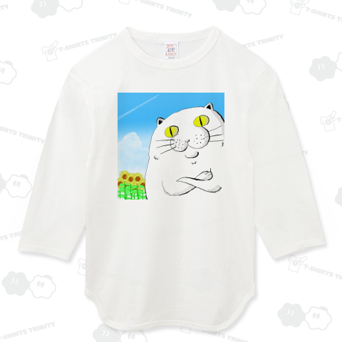 真夏の自信に満ちた猫