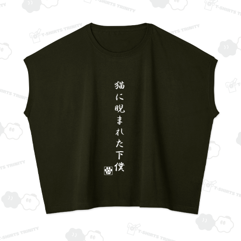 猫に睨まれた下僕(BK)