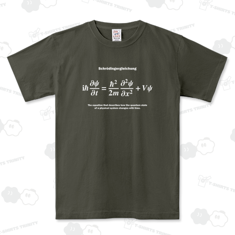 シュレーディンガー方程式(微修正版):量子力学:数式:猫:物理学:科学