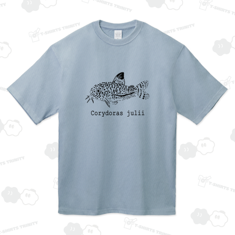 コリドラスジュリー-Corydoras julii-