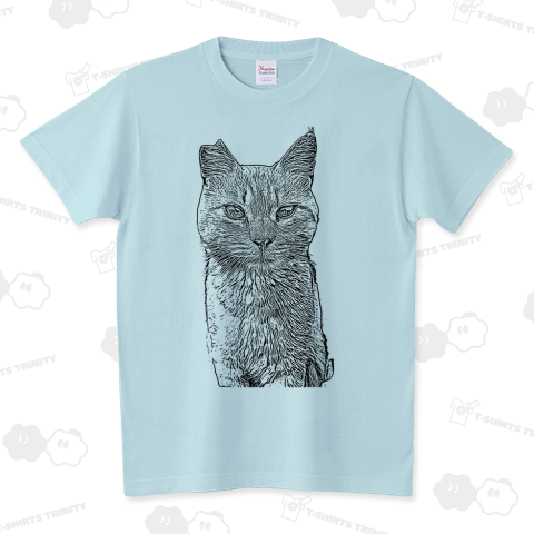 青島のネコたち「ジェームズ」