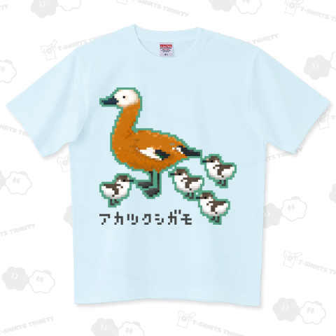 アカツクシガモ