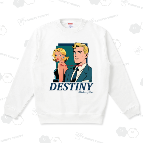 DESTINY  デスティニー