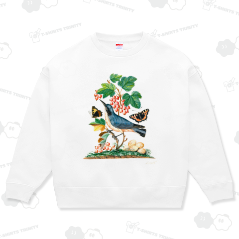 シラヒゲムシクイ