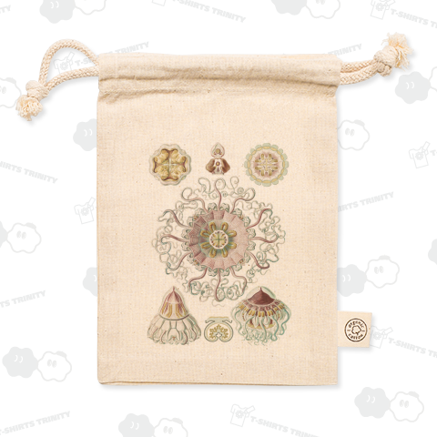 エルンスト・ヘッケル "Peromedusae–Talchenquallen"