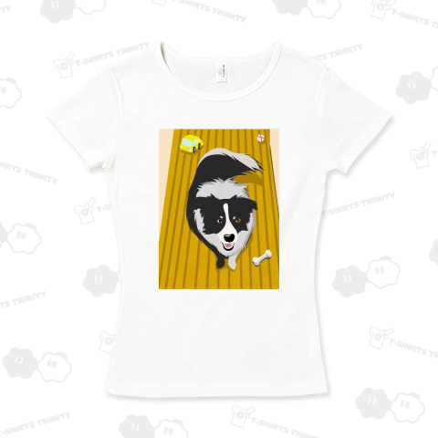 ボーダーコリー Border collie