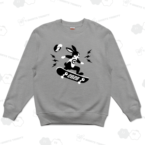 スケボー ウサギ君