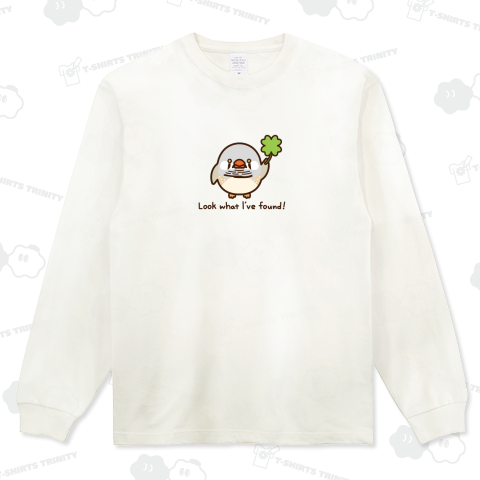 クローバー見つけたよ! キンカチョウ・シルバー系