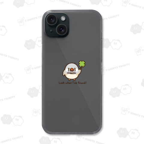 クローバー見つけたよ! キンカチョウ・シルバー系