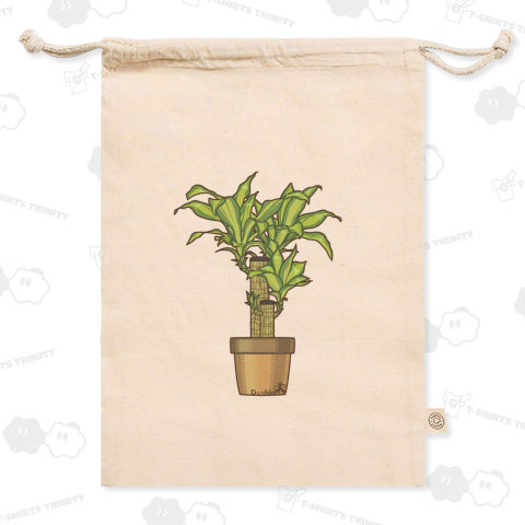 観葉植物(ドラセナ・マッサンゲアナ)