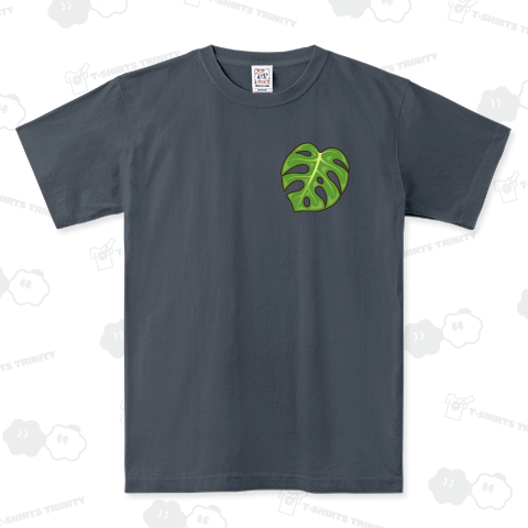 観葉植物(モンステラ・デリシオーサ)葉っぱ