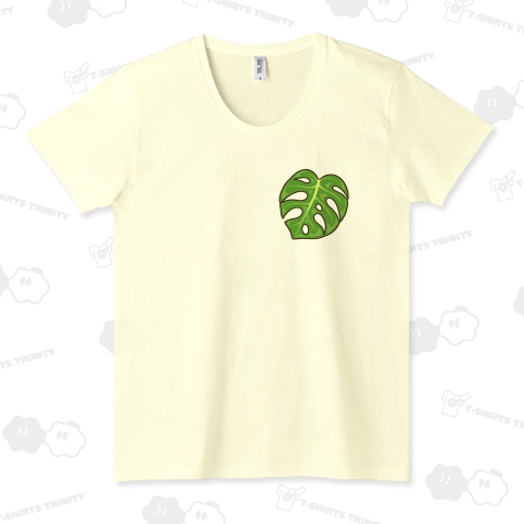 観葉植物(モンステラ・デリシオーサ)葉っぱ