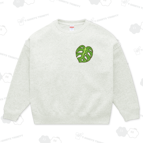 観葉植物(モンステラ・デリシオーサ)葉っぱ