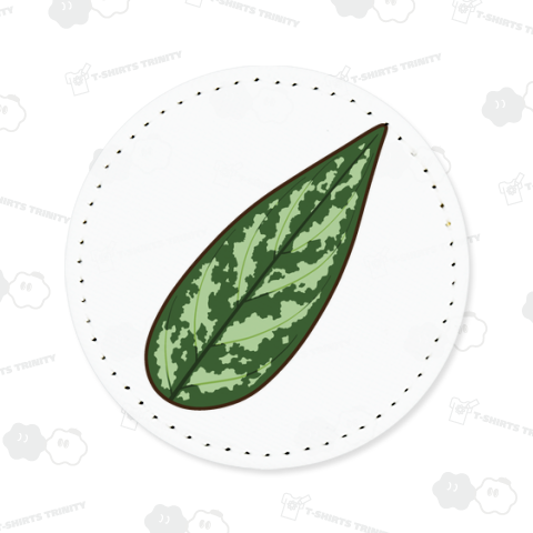 観葉植物(アグラオネマ・マリア)葉っぱ