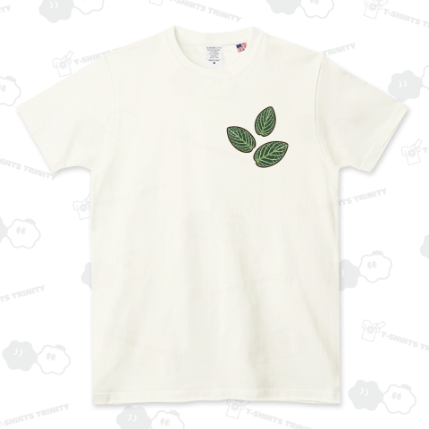 観葉植物(フィットニア・ホワイトエンジェル)葉っぱ