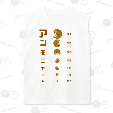 ネコ 視力検査 アンモニャイト