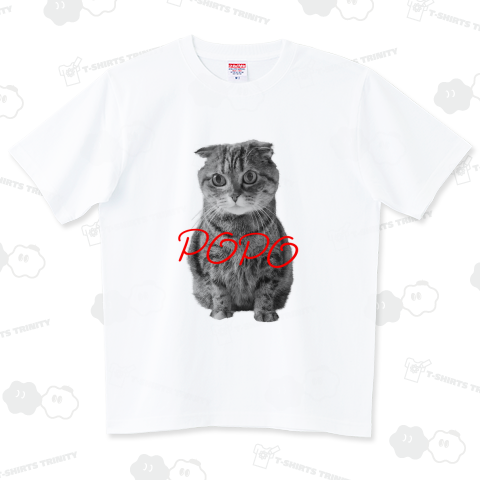 ネコのpopoちゃん