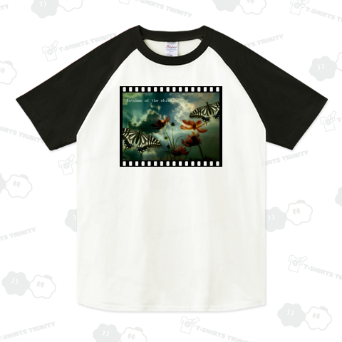 フィルム枠の中の蝶と花と空