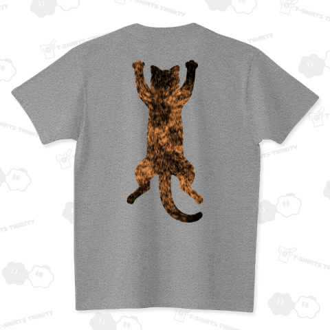 まだ猫をさがしています(サビネコ・べっこう猫)