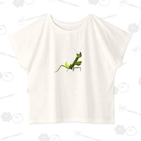 ネコとカマキリ