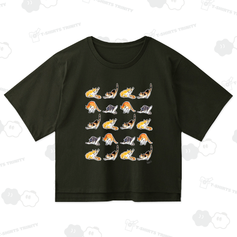 ねこT(ポーズ)