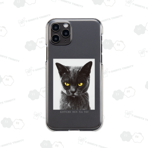 黒猫・こっち見んなよ!