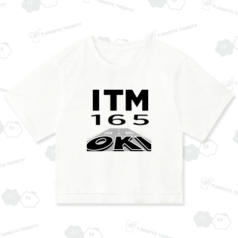 【空港コード大好き】隠岐世界ジオパーク空港発/伊丹空港行/165マイル