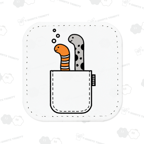 ポケットからチンアナゴ