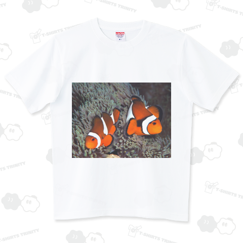 カクレクマノミ