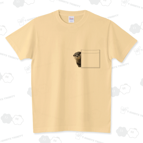 KOTUME.01