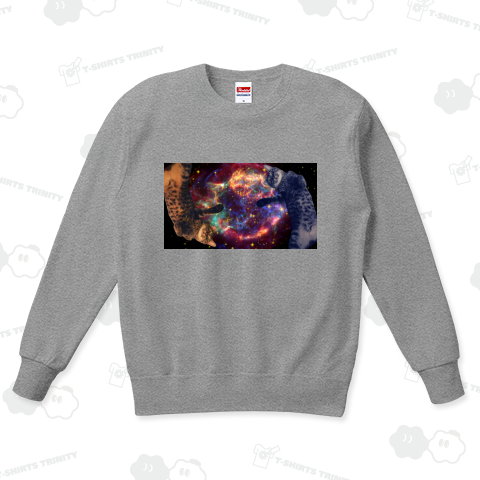 宇宙キジトラ カジュアルスウェット(9.7オンス)