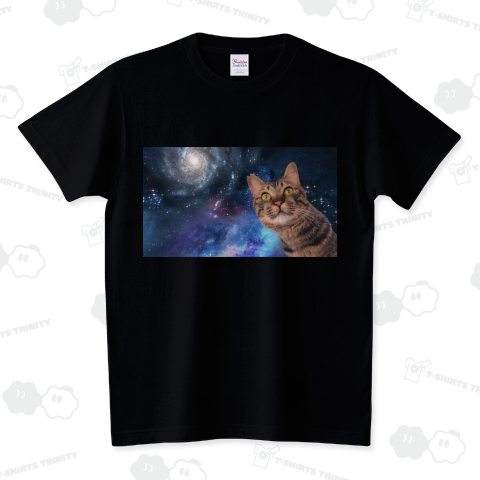 宇宙悟り猫