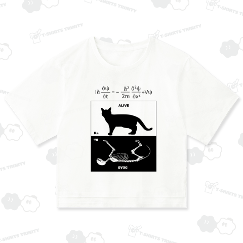 シュレーディンガーの猫②