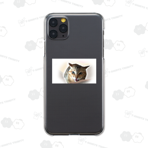 シャーでございます