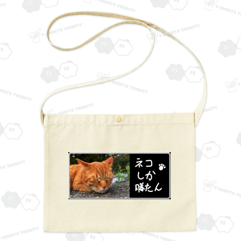 ネコしか勝たん